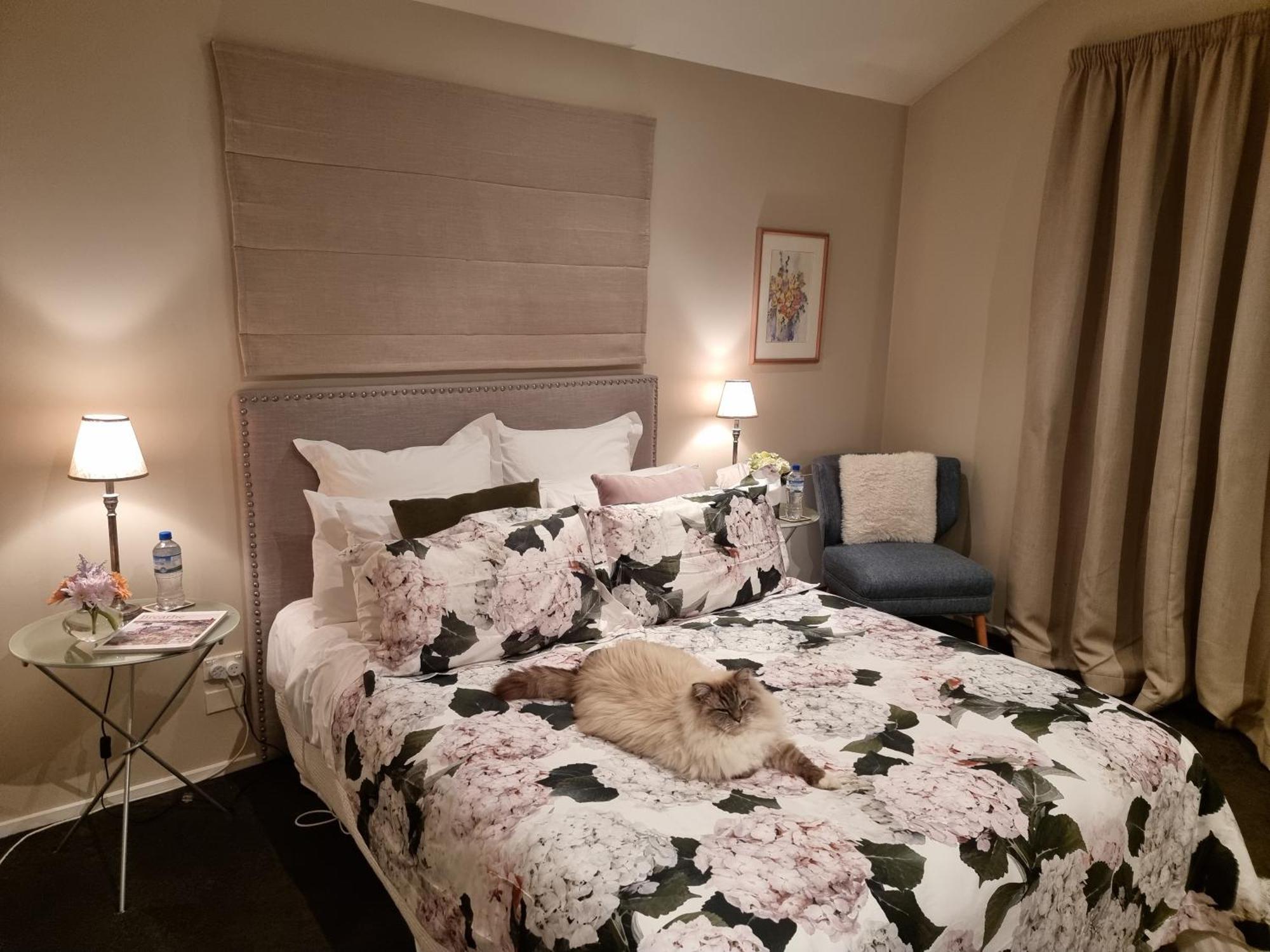 Haven Sanctuary Suite With Private Entrance Queenstown Ngoại thất bức ảnh